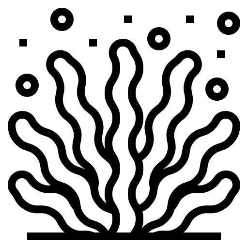 Protéine de riz hydrolysée